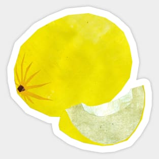 Melon - Honeydew Sticker